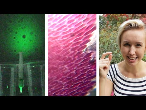 3 DIY Microscopes with a Laser Pen | Shed Science Video