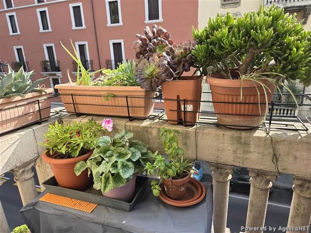 Appartamento in VENDITA PADOVA MILANO