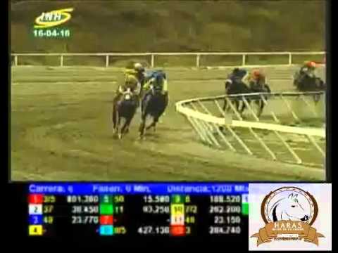 LA RINCONADA 6 CARRERA, SABADO 16 DE ABRIL DEL 2016