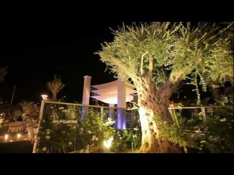 תמונה של נסיה