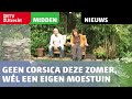Geen Corsica deze zomer, wél een eigen moestuin [RTV Utrecht]