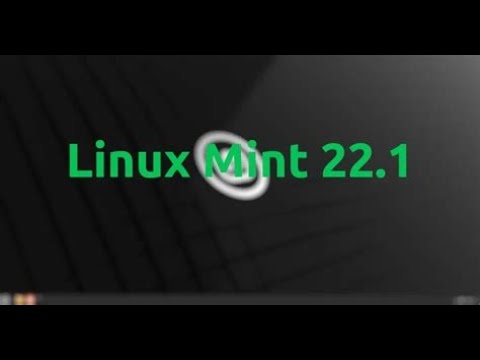 Bios richtig Eingestellt und Linux Mint 22.1 Installiert