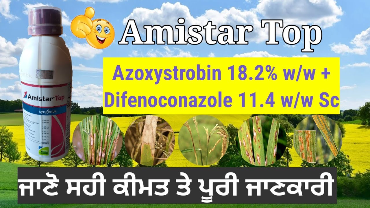 Amistar top fungicide Syngenta Dose & price