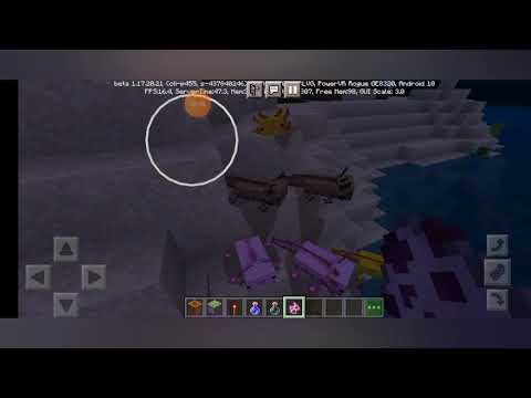 cerchiamo l axolotl blu su Minecraft
