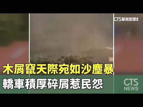 木屑竄天際宛如沙塵暴　轎車積厚碎屑惹民怨