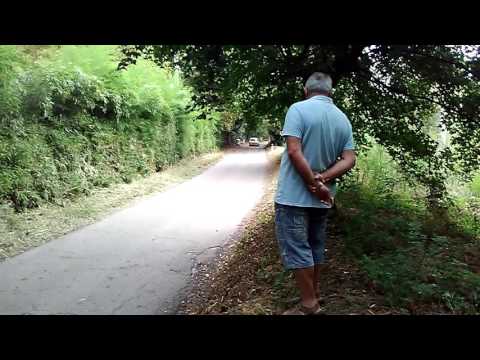 Rally Reggello 2016 (storico).