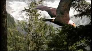 Libera America the Beautiful