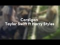 Cardigan - Taylor Swift ft Harry Styles