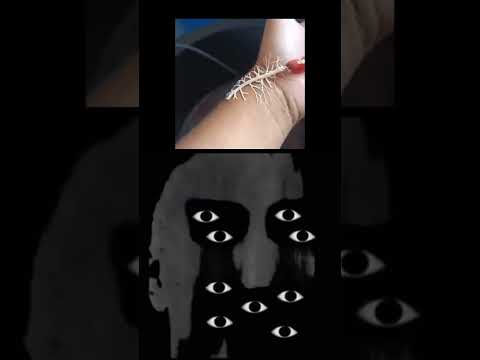 ひげを生やしたクローブ 植物