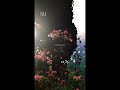 Shayad Yeh Waqt Hum Se Koi Chaal Chal Gaya By Chitra And Jagjit Singh