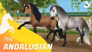  The UPDATED Andalusian! ✨ Star Stable Horses