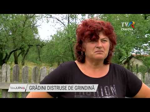 GRĂDINI DISTRUSE DE GRINDINĂ
