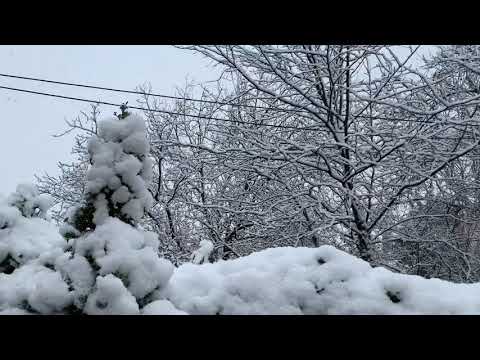 Virusi - O Allah - Hoxhë Bekir Halimi