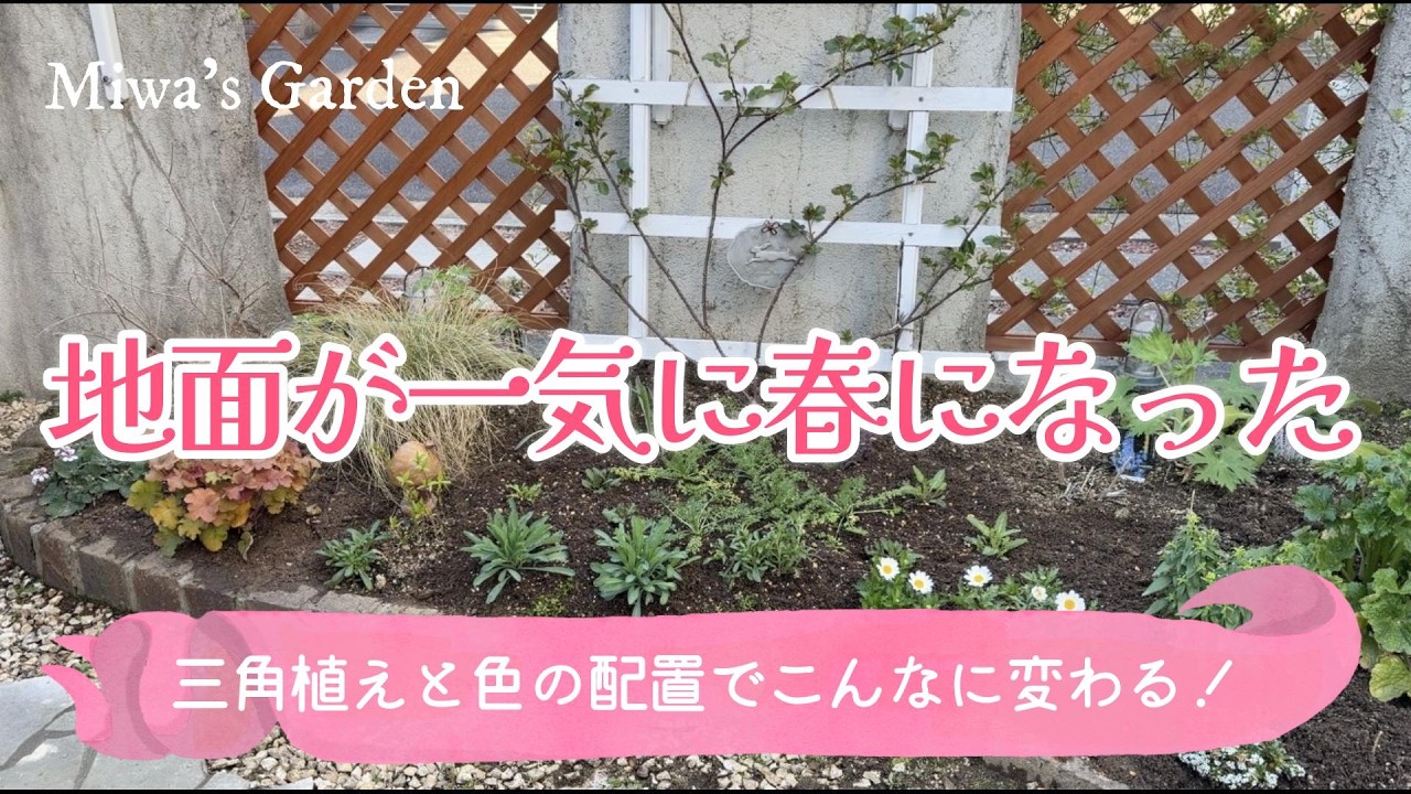 ガーデニング・玄関前の花壇が一気に整いました！日陰と日向の植え付けで春の準備｜宿根草のおしゃれな春の庭づくり