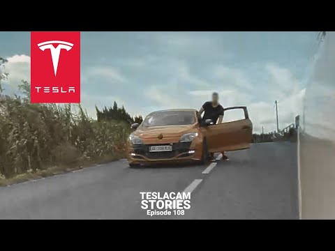 ROAD RAGE ATTACK | TESLACAM STORIES 108