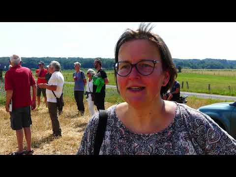 Bienenwiese Insektentag 01 08 2020