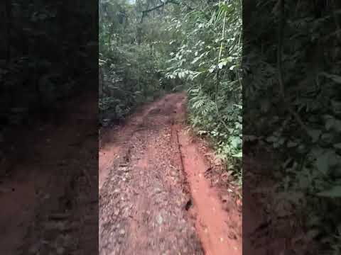 Caminhada estrada real caminho da fé são Brás do suacui