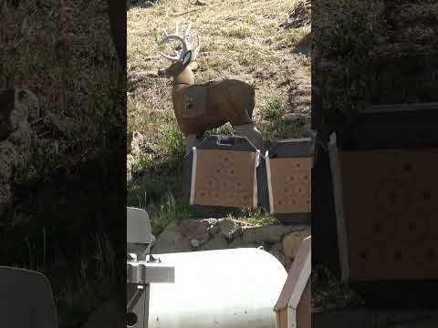 Delta McKenzie Big Daddy X-Ray Archery Target Review #hunting #bowhunting #archery