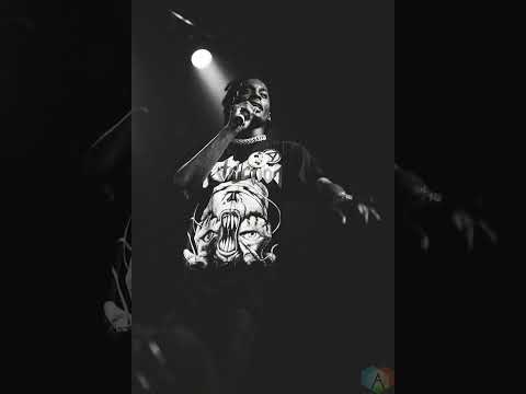 Playboy Carti - Did It Again Alternative Intro
