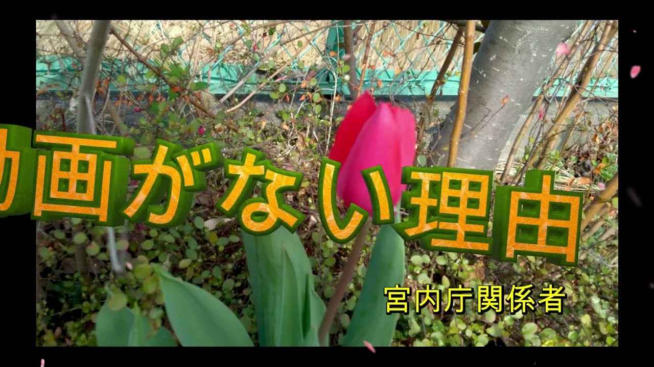 両陛下フランス語でお出迎え　琴の写真も加工