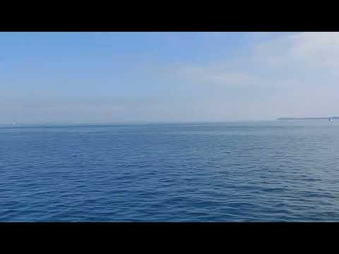 Rorschach Hafen Rundblick