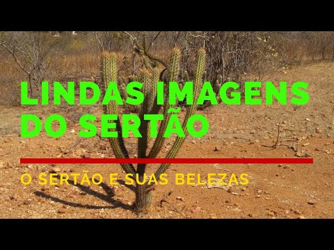 LINDAS IMAGENS DO SERTÃO ~ (O SERTÃO E SUAS BELEZAS)