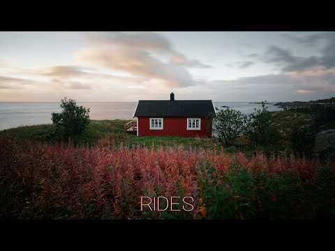 David Guetta x Kygo x The Weeknd Type Beat - RIDES | Dance Pop Type Beat 2020