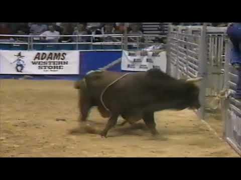 Honky Cat bucks Charles Litchfield - 94 PBR Finals