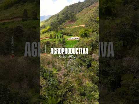 OPORTUNIDAD AGROEMPRESARIAL EN PRODUCCIÓN – BARBOSA, ANTIOQUIA 🥑