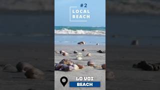 TOP 10 in CON DAO, VIETNAM 🇻🇳 in 60s #shorts