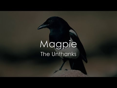 Magpie - The Unthanks - LYRICS