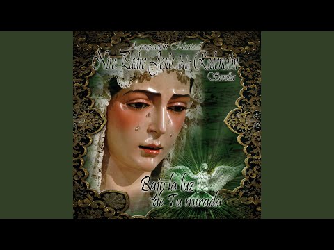 Bajo la Luz de Tu Mirada