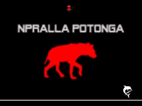 Npralla Potonga - Cynical