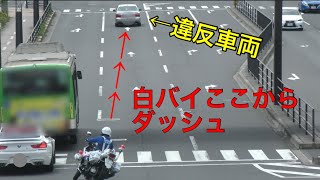 [問卦] 台灣交通開始重罰會怎樣？