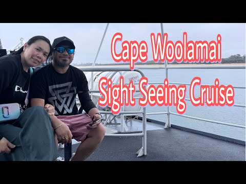 Cape Woolamai Cruise| Phillip Island #viral  #fypシ  #video #phillipisland  #cruise  #traveldiary 