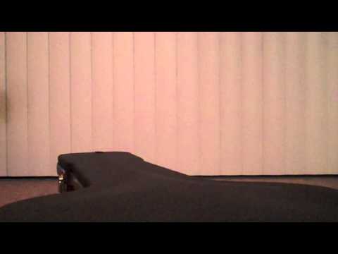 Ms. Cream Freestyle - Camera Focus Guitar Case  (11.29.09)