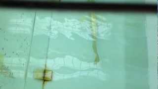 IMG 1299