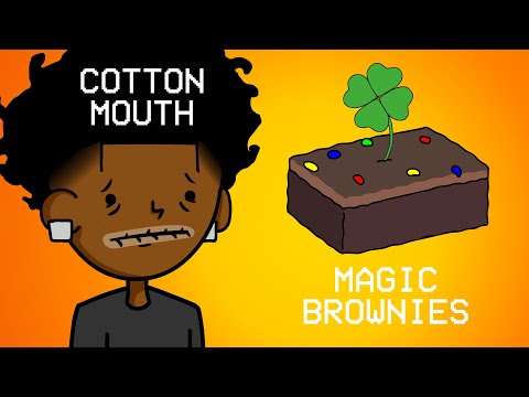 5 RULES TO SMOKING ...