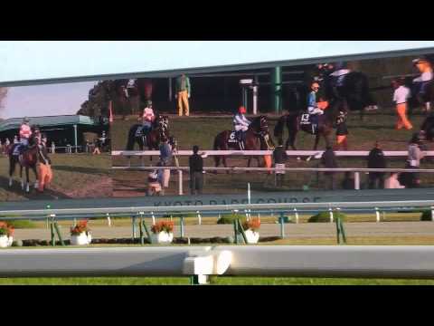 H26.11.23　マイルチャンピオンシップ　発走前