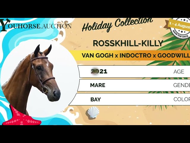 Rosskhill-Killy homevideo