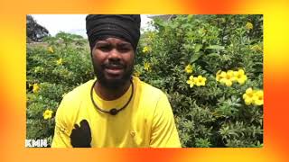 Kreol Music Crush avec LITTLE GUERRIER [ GUYANE ]