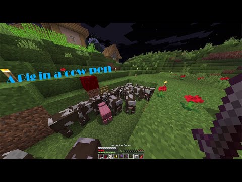 This is the last TB187 server update