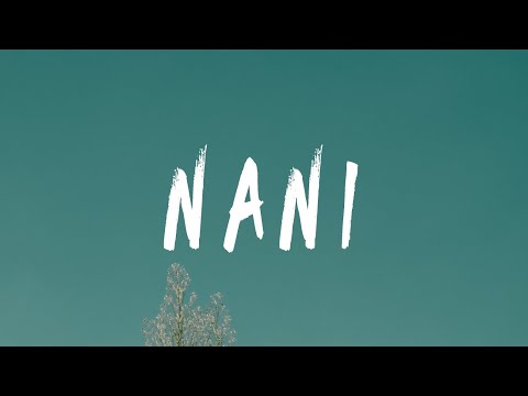 Msodoki Young Killer - Nani (Lyrics)