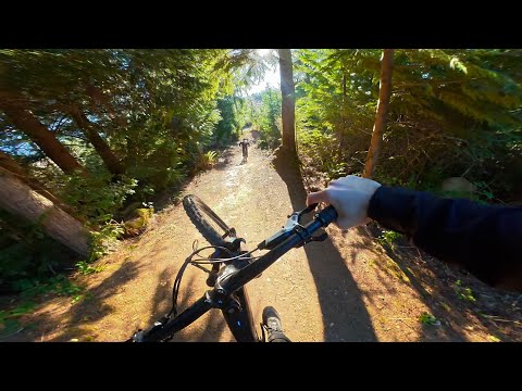 Galby on eebs - Evo, SST, Double v