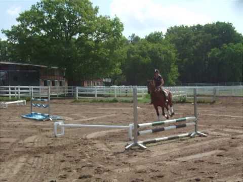 UNCANNY KNIGHT 10j. Holst. A-Springen platziert VB 5.500,- Euro