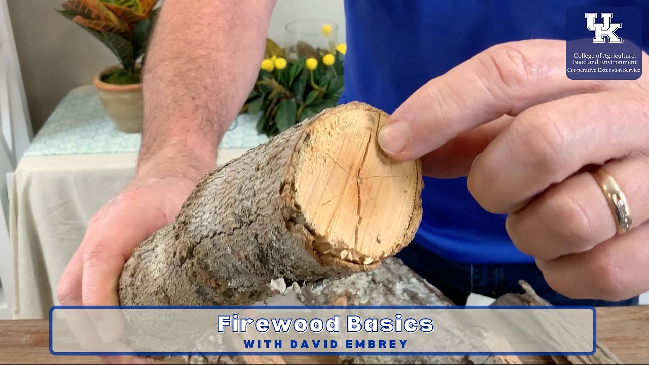 Firewood Basics