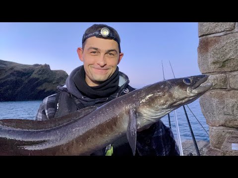 Shore Fishing for Beginners - Pier fishing for BIG fish.