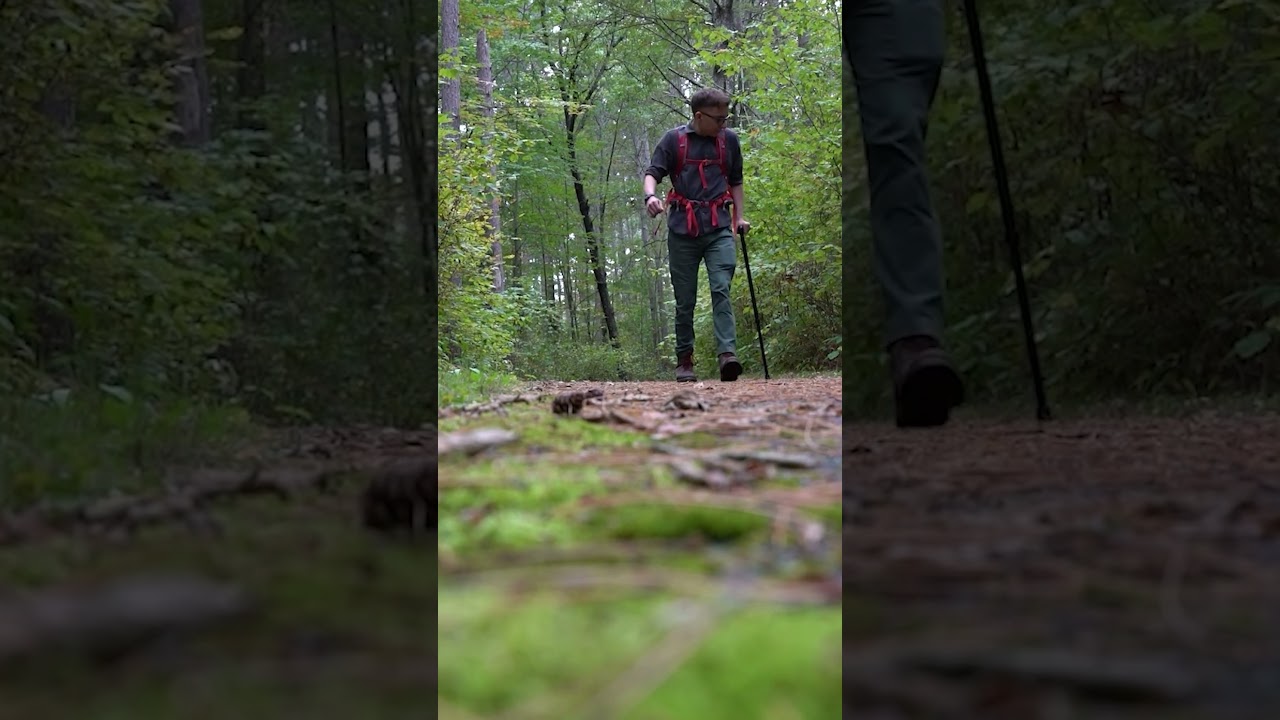 Sunday Zen Hiker