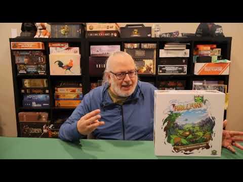 Fable Fury how to play and review