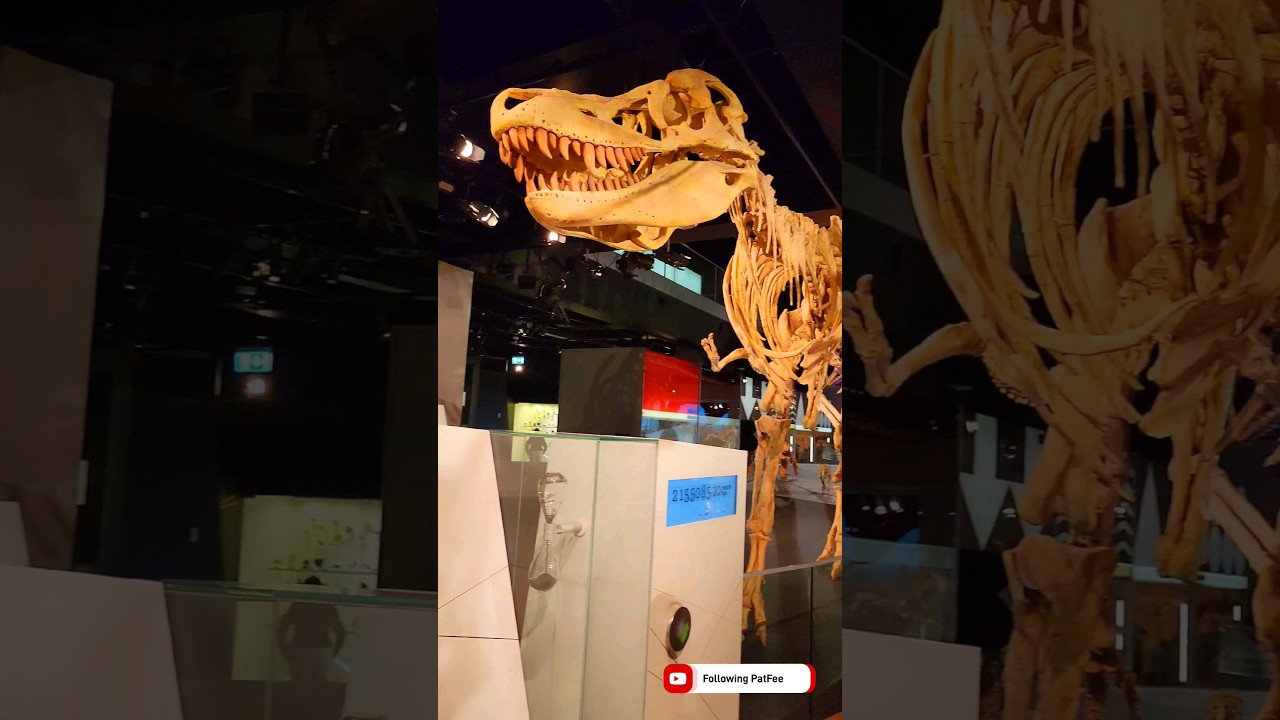 YouTube Short thumbnail